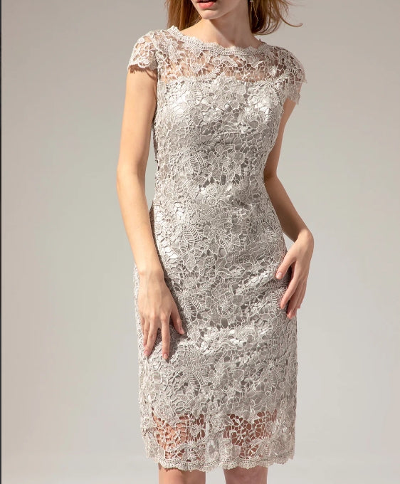 Grey Lace Mother Of the Bride Dress