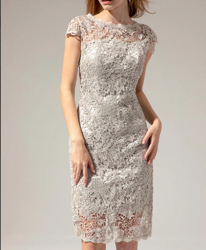 Grey Lace Mother Of the Bride Dress
