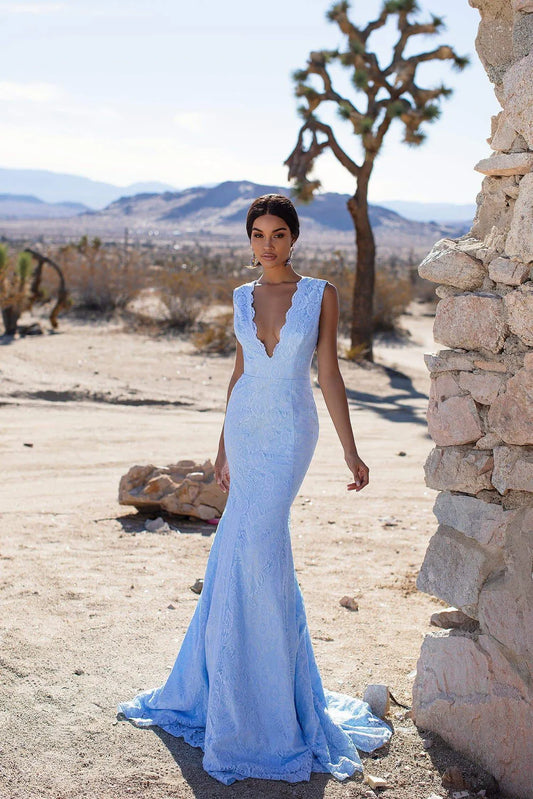 Elegant Sleeveless V Neck Backless Lace Brush Train Prom Dresses