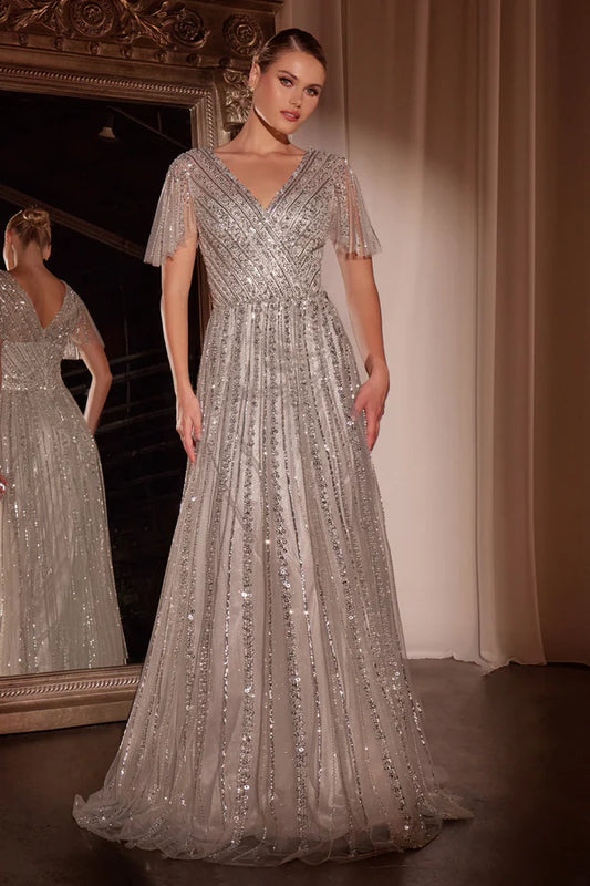 Charming Cinderella Divine Short Sleeve V back Floor-Length Prom Dresses