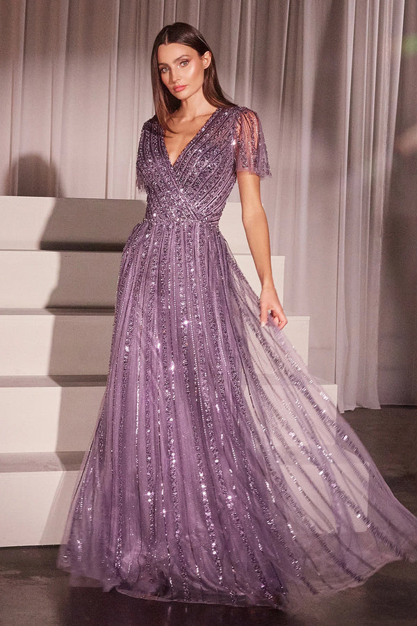 Charming Cinderella Divine Short Sleeve V back Floor-Length Prom Dresses