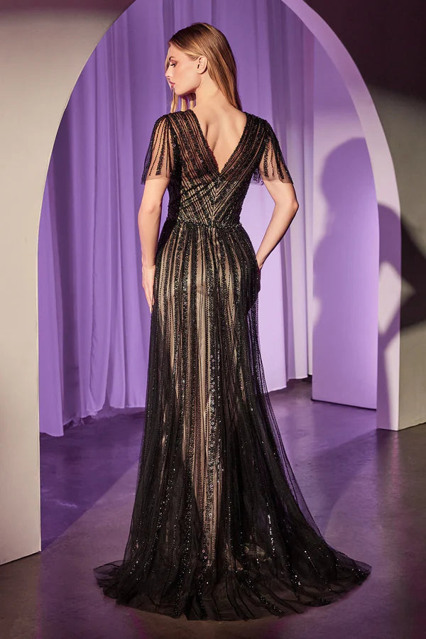 Charming Cinderella Divine Short Sleeve V back Floor-Length Prom Dresses