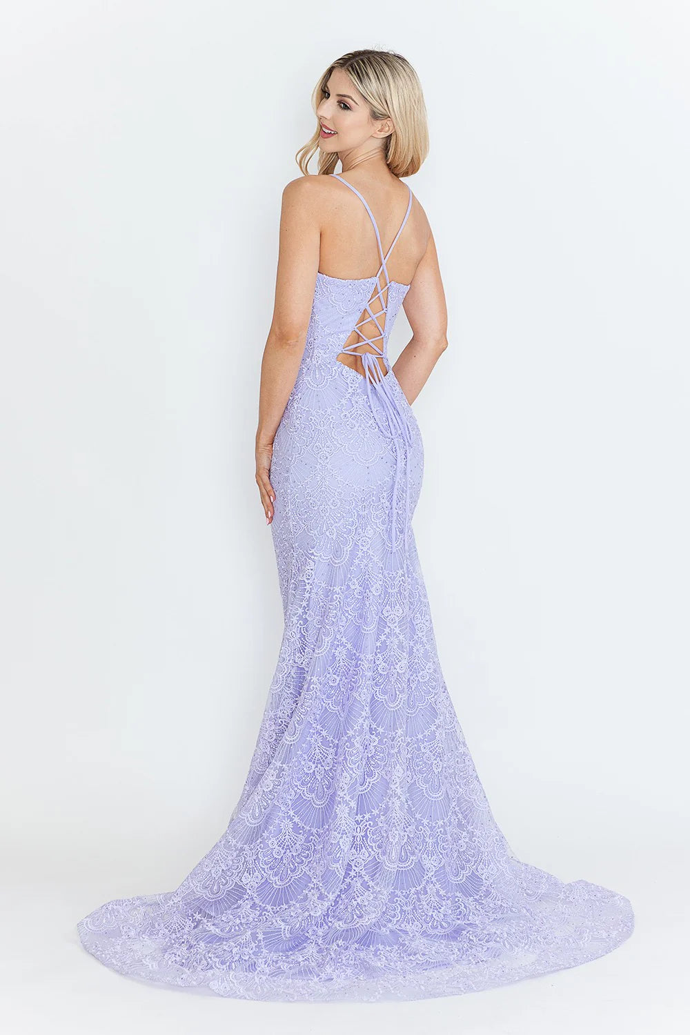 Lace Embroidered Long Formal Dress