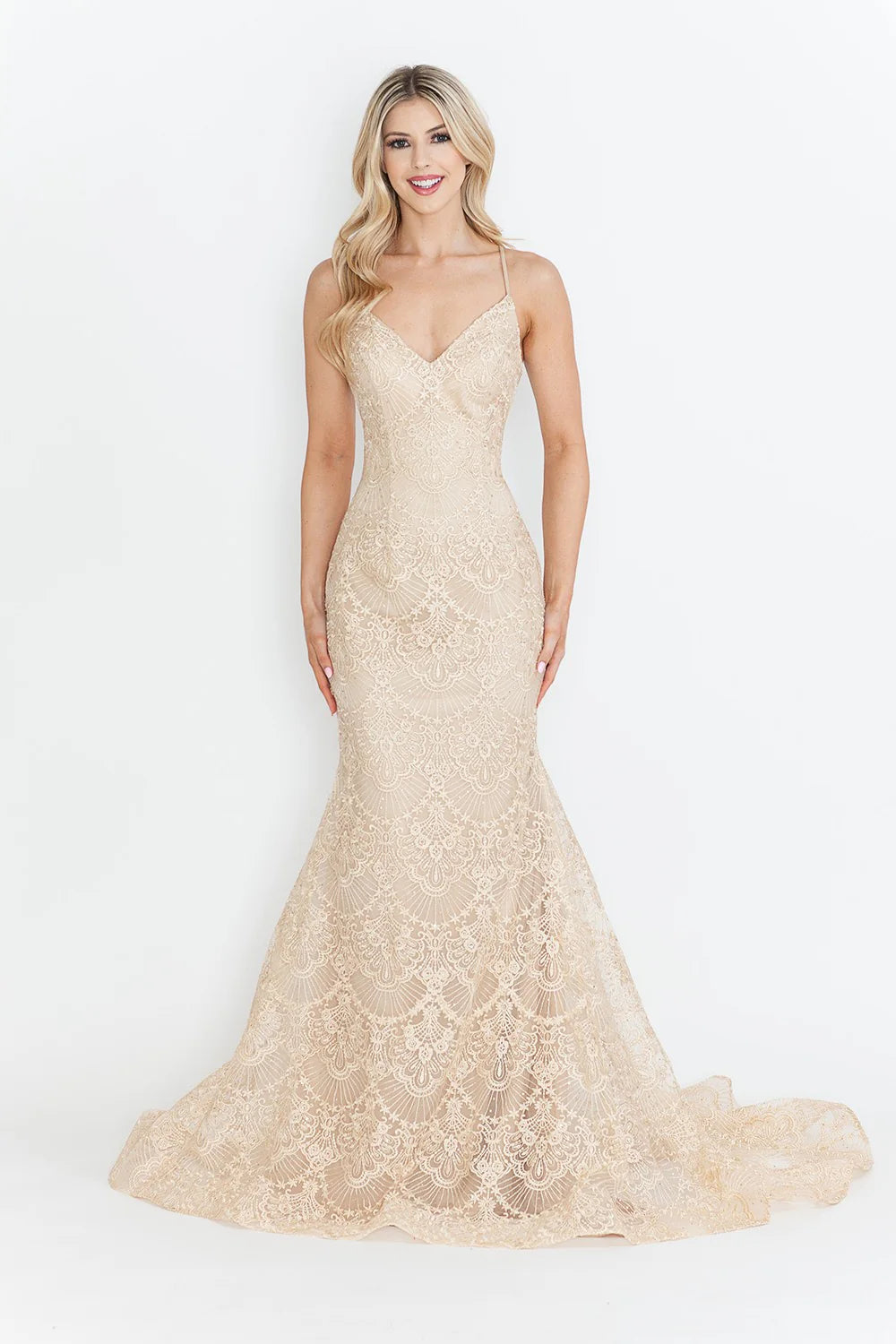 Lace Embroidered Long Formal Dress