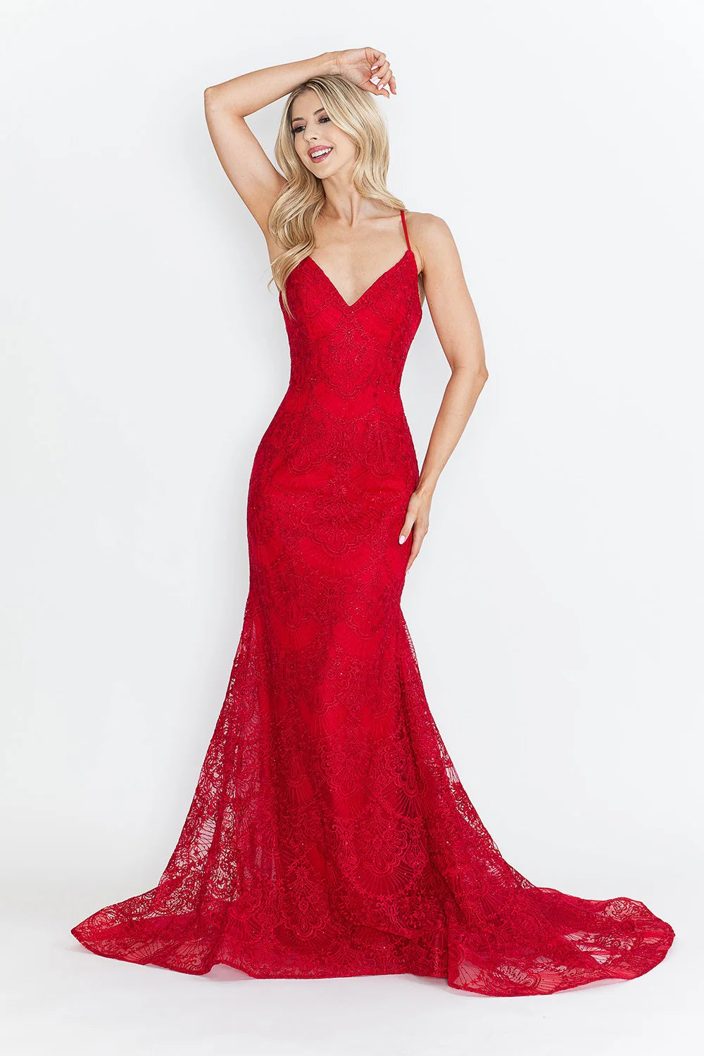 Lace Embroidered Long Formal Dress