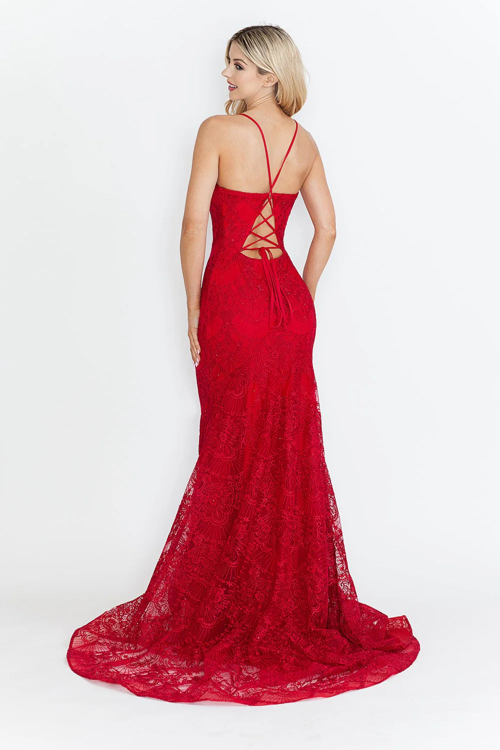 Lace Embroidered Long Formal Dress