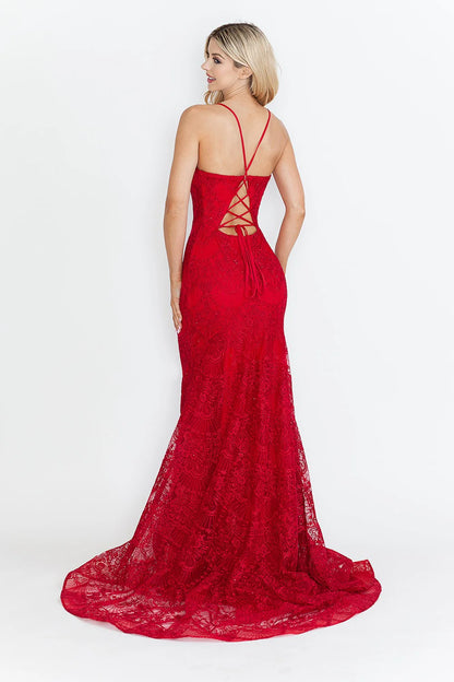 Lace Embroidered Long Formal Dress