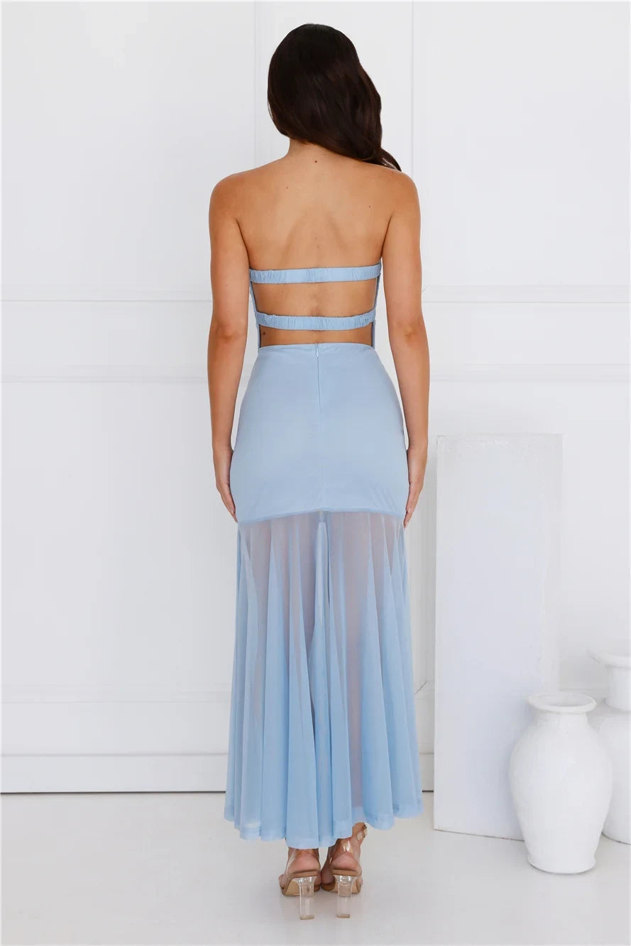 Chic A-Line Strapless Bow-Front Backless Light Blue Maxi Prom Dress