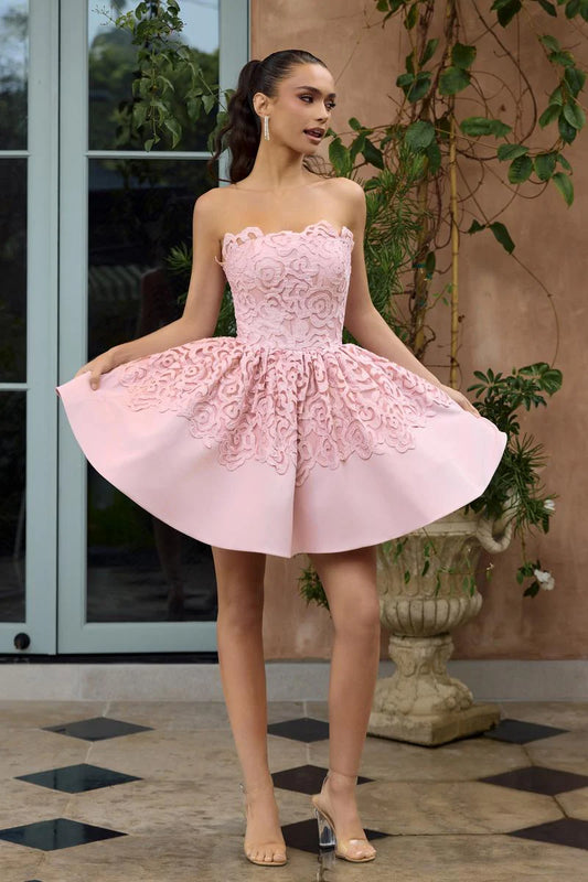Chic A-Line Strapless Embroidered Scalloped Pink Short Homecoming Dress Women's