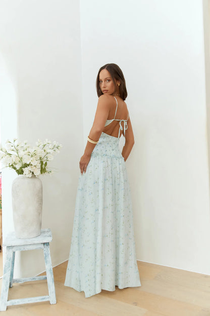 Elegant Spaghetti Strap V Neck Backless Tie Back Shirred Floral Print Flowy A Line Maxi Prom Dress For Wedding Guest Bridal Shower Formal Evening