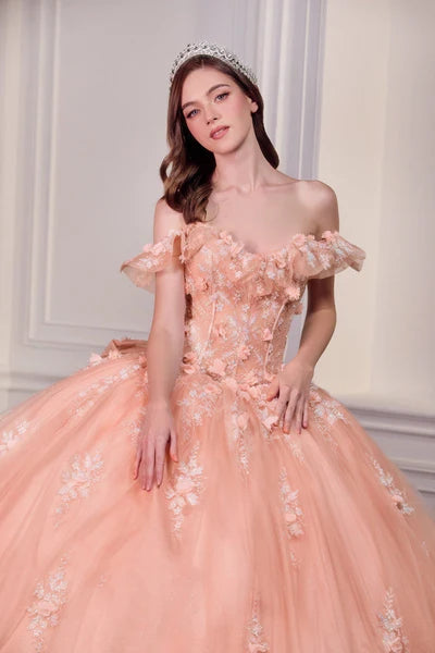 Enchanting Ball Gown Off-Shoulder Floral Applique Peach Blush Floor-Length Prom Dresses Gown