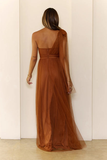 Luxury Terracotta Prom Dresses with Tulle Fabric One Shoulder and Bow Detail