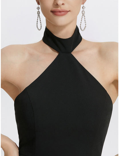 Sheath / Column Evening Gown Black Dress Dress Wedding Guest Prom Floor Length Sleeveless Halter Neck Stretch Fabric with Ruched